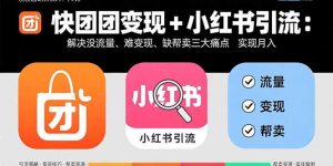 快团团变现+小红书引流：解决没流量、难变现、缺帮卖三大痛点 实现月入3w+-理想项目库