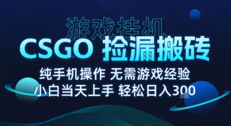 8月最新游戏搬砖，CSGO纯挂G，不需要玩游戏，实现真挂G，月入1W+【揭秘】-理想项目库