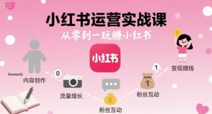 小红书运营实战课，从零到一玩賺小红书-理想项目库