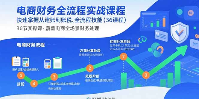 电商财务全流程实战课程：快速掌握从建账到报税的全流程技能(36节课-理想项目库