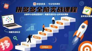 拼多多全阶实战课程，从新手小白到运营高手，海量实战玩法+全年实时更新【2025年9月更新】-理想项目库