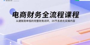 电商财务全流程课程：从建账到申报的完整财务闭环，26节系统化实操内容-理想项目库