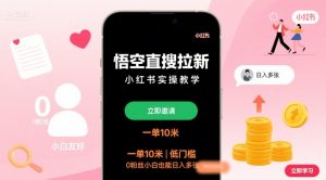 悟空直搜拉新小红书实操教学，一单10米，低门槛，0粉丝小白也能日入多张-理想项目库