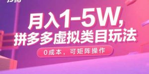 月入1-5W，拼多多虚拟类目玩法，0成本，可矩阵操作-理想项目库
