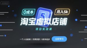 淘宝虚拟店铺项目实战课，一个人也能做，无需货源、0成本起步，月入5k-理想项目库