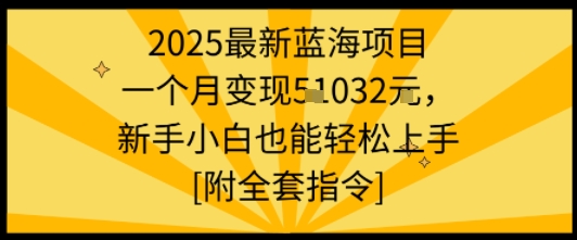 2025最新蓝海项目一个月变现1w+新手小白也能轻松上手【附全套指令】-理想项目库