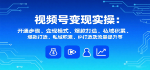 视频号变现实操,含开通步骤、变现模式、爆款打造、私域积累、IP打造及流量提升等-理想项目库