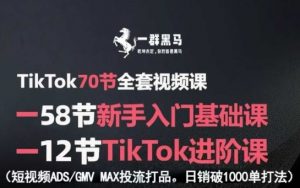 TikTok全套视频课，新手入门+进阶课，短视频ADS-GMV MAX投流打品，日销破1000单打法-理想项目库