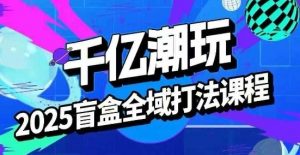 2025盲盒全域全套打法课，盲盒起号、选品、话术、私域等-理想项目库