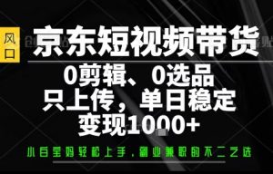 你出账号，我来运营，保底日入1k+，开启躺賺模式【揭秘】-理想项目库