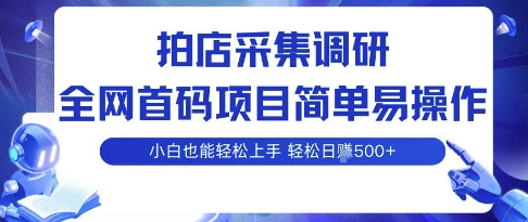 拍店采集调研，全网首码项目，简单易操作， 小白也能轻松上手，多账号操作，轻松日入5张【揭秘】-理想项目库