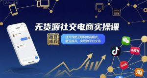 无货源社交电商实操课，绕开传统互联网电商模式，撒豆成兵，实现跨平台交易-理想项目库