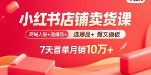 小红书店铺卖货课：商城入驻+选爆品+爆文模板，7天首单月销10万+-理想项目库