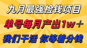 九月最强捡钱项目！ 支付宝分成代运营，我们干活，你分钱！单号月产1w+-理想项目库