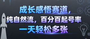 成长感悟赛道，纯自然流，百分百起号率 一天轻松多张-理想项目库