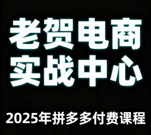 老贺电商2025年拼多多付费课程，用通俗易懂的方法告诉你多多怎么玩-理想项目库