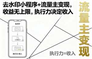 去水印小程序+流量主变现，收益无上限，执行力决定收入-理想项目库