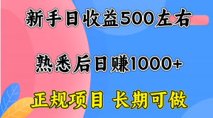一台电脑，前期日收益300-500，熟练后日入1000左右-理想项目库