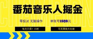 番茄音乐人掘金，单账号最高可撸1k+，可无限矩阵去做，零投入-理想项目库