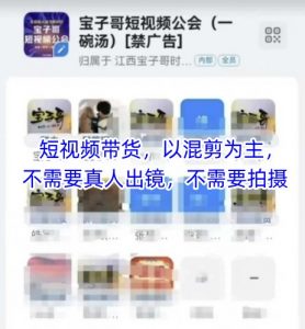 宝子哥头部团队短视频带货，以混剪为主，不需要真人出镜，不需要拍摄【更新9月】-理想项目库