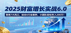 2025财富增长实战6.0,聚焦7大风口,结合6行业案例,小团队轻松年入200万!-理想项目库