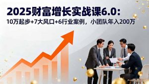 2025财富增长实战课6.0：10万起步+7大风口+6行业案例，小团队年入200万-理想项目库