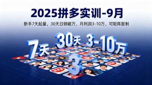 2025拼多多实训-9月：新手7天起量,30天日销破万,月利润3-10万,可矩阵复制-理想项目库