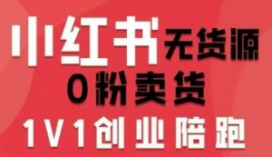 小红书无货源0粉电商课，开店准备、选品策略、笔记撰写、视频剪辑、数据分析、账号打造、资料文档-理想项目库