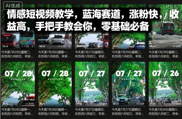 情感短视频教学，蓝海赛道，涨粉快，收益高，手把手教会你，零基础必备-理想项目库