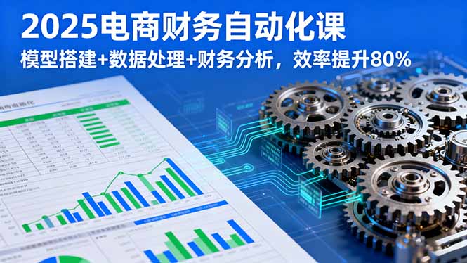 2025电商财务自动化课，模型搭建+数据处理+财务分析，效率提升80%-理想项目库