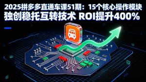 2025拼多多直通车课51期：15个核心操作模块 独创稳托互转技术 ROI提升400%-理想项目库