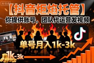 【抖音炬焰托管】你提供账号，团队代运营发视频，单号月入1k+【揭秘】-理想项目库