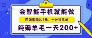 手机项目，二十秒一单，纯薅羊毛一天2张+做就有【揭秘】-理想项目库