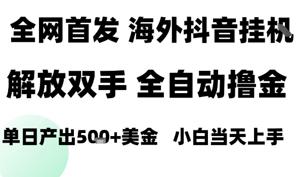 海外抖音无人直播，单日产出1.5k+，长期稳定，新手可玩，无脑操作【揭秘】-理想项目库