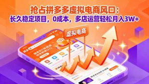 抢占拼多多虚拟电商风口：长久稳定项目，0成本，多店运营轻松月入3W+-理想项目库