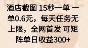 酒店截图15秒一单，一单0.6米，每天任务无上限，全网首发可矩阵单日收益3张【揭秘】-理想项目库