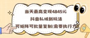 当天最高变现1k+，抖音私域新玩法，可矩阵可批量复制-理想项目库