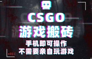 CSGO游戏挂机捡漏，单日扫货500+，年底小高峰上车可吃肉，手机即可操作…-理想项目库