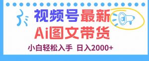 视频号最新AI图文带货，每天几分钟，小白轻松入手，日入2000+-理想项目库