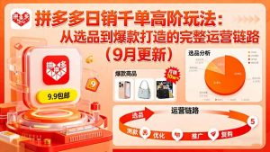 拼多多日销千单高阶玩法：从选品到爆款打造的完整运营链路(9月更新-理想项目库