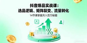 抖音爆品实战课：选品逻辑、矩阵裂变、流量转化，14节课掌握月入百万秘籍-理想项目库