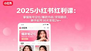 2025小红书红利课:掌握账号定位/爆款内容/变现路径,新手起号30天变现2w+-理想项目库