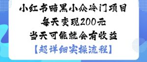 小红书暗黑小众冷门项目每天变现2张当天可能就会有收益-理想项目库