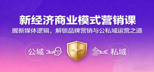 新经济商业模式营销课,握新媒体逻辑,解锁品牌营销与公私域运营之道-理想项目库