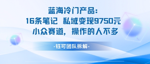 蓝海项目：16条笔记私域变现9750米小众赛道操作的人不多-理想项目库