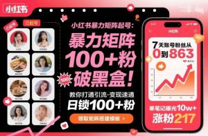 小红书暴力矩阵起号,教你打通引流-变现速通,日锁100+粉,破流量黑盒-理想项目库