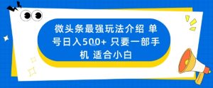 微头条最强玩法介绍一个号日入5张+只要一部手机适合小白-理想项目库