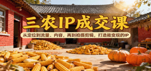 三农IP成交课:从定位到流量、内容,再到拍摄剪辑,打造能变现的IP-理想项目库