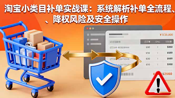 淘宝小类目补单实战课：系统解析补单全流程、降权风险及安全操作-理想项目库