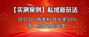 【实测案例】私域新玩法,日引30+精准粉,转化率50%,新人照做也能出单!-理想项目库